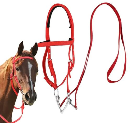 Brida for caballo, muserola ajustable, riendas de nailon for equitación, forro suave, suministros ecuestres for montar a caballo(L)