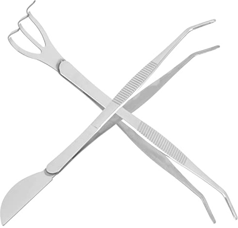 GANAZONO Bonsai Tool Set with Precision Tweezers Rake and Moss Spatula 8.66 Inch Stainless Steel Gardening Tools for Miniature and Potted Plants Care
