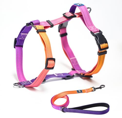 Roses&Poetry Small Dog Harness and Leash Set, No Pull Dog Harness Adjustable Reflective, Dog Halter Harnesses Comfort Padded Handle, Pet Harness for Training Outdoor Walking（Mistyrose-S