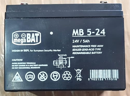 Batterie 24 V et 5 Ah pour voiture électrique pour enfant - INDALPZ000940-8436613040485 (24 V 5 Ah)