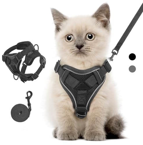 VavoPaw Arnés para Mascotas y Correa para Pasear, Arnés Ajustable Cómodo Antitirones para Perro con Tira Reflectante, Malla Transpirable, Chaleco de Seguridad para Gatos Cachorros, S, Negro