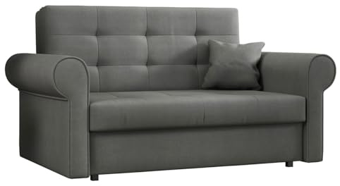 Mirjan24 Schlafsofa Viva Silver II mit Bettkasten, 2 Sitzer Polstersofa mit abgerundete Armlehnen, Sofa mit Schlaffunktion, Sofagarnitur inkl. Kissen, Bettsofa, Wohnlandschaft (Mono 246)