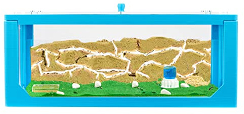 AntHouse - Natürliche Ameisenfarm aus Sand Blau | 3D Big Starter Set 30x15x10 cm | Ant Farm | Inklusive Ameisenkolonie
