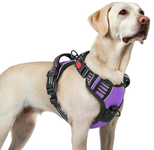 rabbitgoo Harnais Chien avec 3 Boucles, Facile à Mettre et à Enlever, Harnais Anti Traction pour Chien avec Poignée et Attache Devant, Réglable, Réfléchissant, Arnet pour Chiens Grand, Violet, L