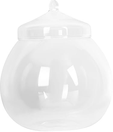 TOGEVAL Glasbehältnis Mit Deckel Ökologische Pflanzenflasche Glaspflanzen-Terrarium Mikrolandschaftsflasche Klare Vorratsflasche Dekorative Glasvase Für Haus Und Zimmer