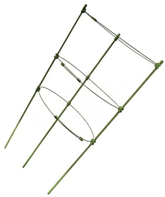 ifundom Enrejado de Jardín para Plantas Trepadoras de Vid 60 Cm Plástico Resistente para Exterior Soporte para Tomates y Verduras en Maceta Uso en Huerto y Patio