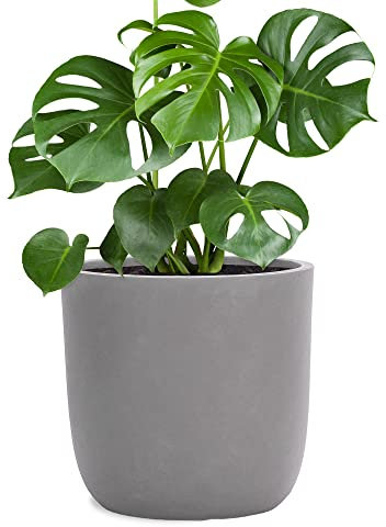 Pflanzwerk® Pflanzkübel Cup - Blumentöpfe Übertöpfe 34cm Ø GRAU *Frostbeständige Blumenkübel* *UV-Schutz* *Pflanzenkübel Premiumqualität*