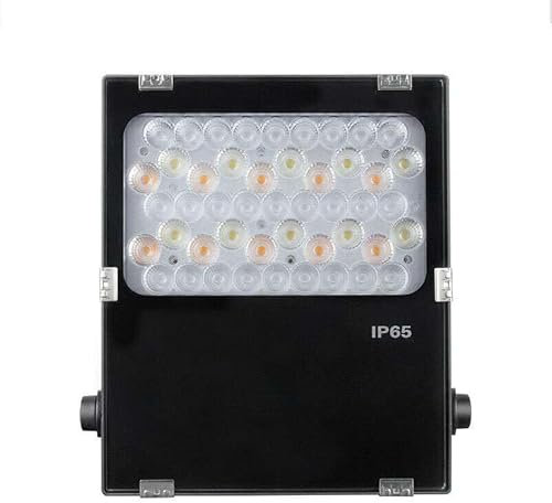 Proyector LED extrafino 50 W 4000 lm regulable 25° 220 mm Radiofrecuencia impermeable IP65 - RGB + CCT 2700K-6500K C06