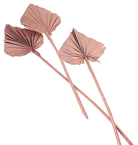 Chaks 10 Feuilles Palmier DÉCOUPÉES 55CM Rose DÉSERT