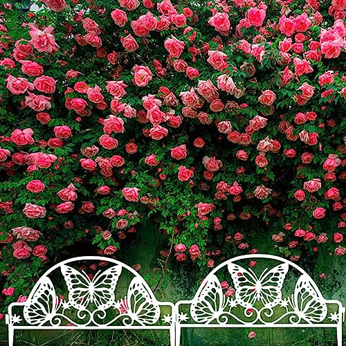 4 Piezas Bordes De Plástico Valla De Piquete De Jardín,Exquisita Valla De Jardín, Canteros De Hierba, Bordes De Plantas,Valla De Jardín De Plástico Resistente A La Intemperie,Piquetes De Valla,Guardia