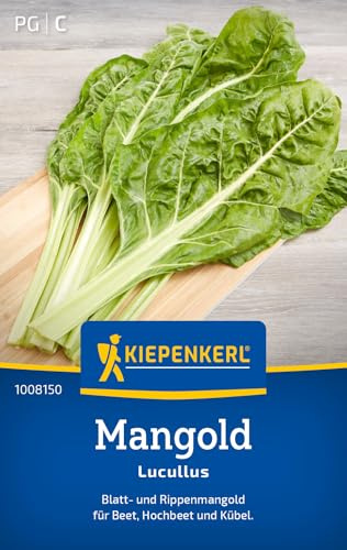 Kiepenkerl Mangoldsamen Lucullus 1008150, Gemüsesaat | Gemüsesamen für einen Blatt- und Rippenmangold, schnellwachsend