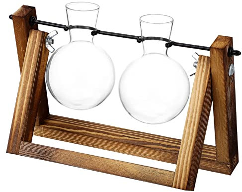 UPKOCH Stazione Di Propagazione Per Piante Vaso Di Propagazione in Vetro Supporto Per Piante Sospesa Vaso Di Vetro Per Centrotavola