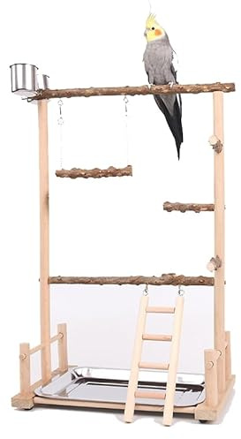 AFGSsm Aire de jeux oiseaux, Aire de jeux perroquet, Jouet pour perroquet pour perroquets,Terrain de Jeu pour Perroquet Échelles et mangeoires(36,5*23*57CM)