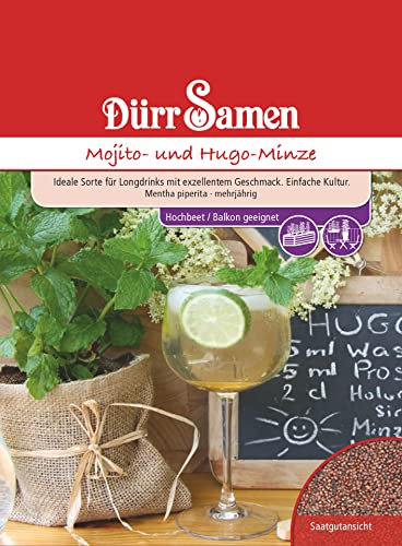 Mojito- und Hugo-Minze Samen