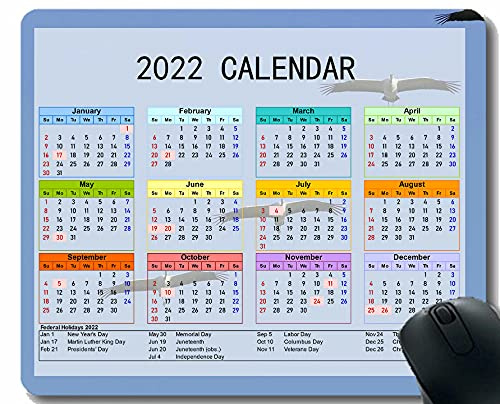 Spelmusmatta 2022 års kalender med semester, trana flock himmel spelmusmatta