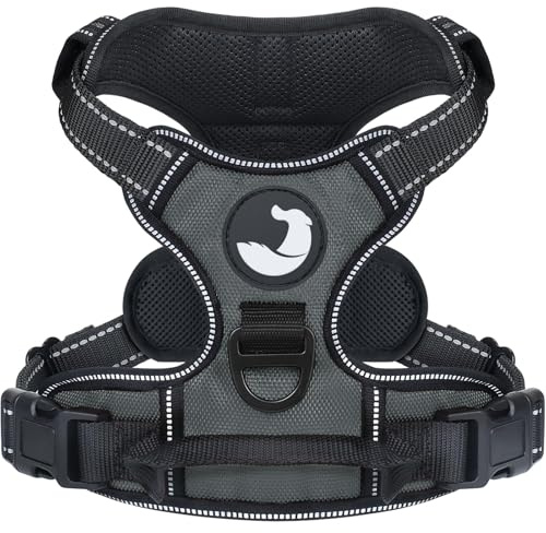 Joytale Anti-Zug Hundegeschirr für kleine Hunde, Grau, S | Perfekter Sitz, gepolstert & reflektierend, 2 Anleinpunkte (vorne & hinten), Haltegriff für Treppen & Auto, für Training