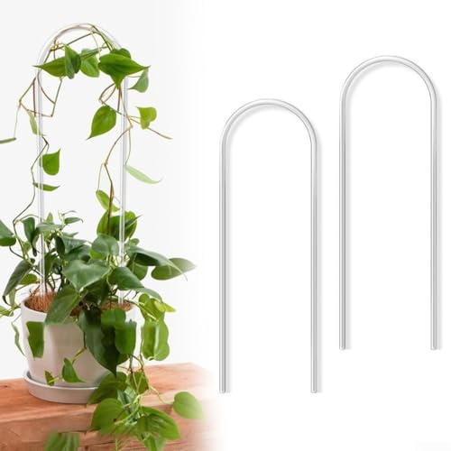 Traliccio di supporto per piante a forma di U in acrilico trasparente, per interni ed esterni, per piante rampicanti Monstera Pothos Hoya, 35 cm