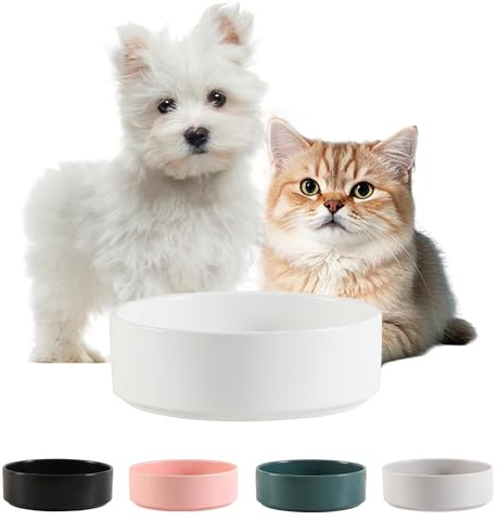 Keramik Hund Dricksskål & Matare - Halkfri Liten och Medium Hundskål Idealisk för Mat och Vatten - Kattskål för Katter - 15 cm - 210 g/420 ml - Vit