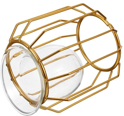 ZUNOXAZ Jarrón Hidropónico Elegante para Escritorio Diseño Transparente Recipiente Duradero para Plantas Verdes y Adornos de Mesa Decoración para Oficina y Hogar