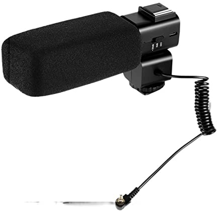 LERORA Videocamera Microfono Stereo sulla Fotocamera for Vlog Live Streaming DV Camcorder Video Sound Recorder Fotocamera Digitale per vlogging