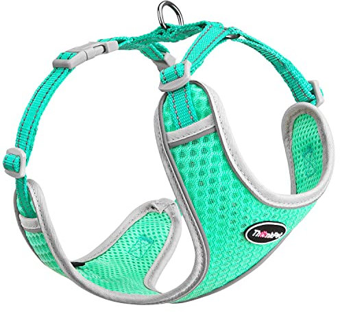 ThinkPet No-Pull Hundegeschirr Leine Set, Atmungsaktiv Brustgeschirr für Kleine Mittlere Große Hunde, Einstellbar Weich Laufgeschirre Sicher Kontrolle Gepolstert Reflektierendes Sicherheitsgeschirr