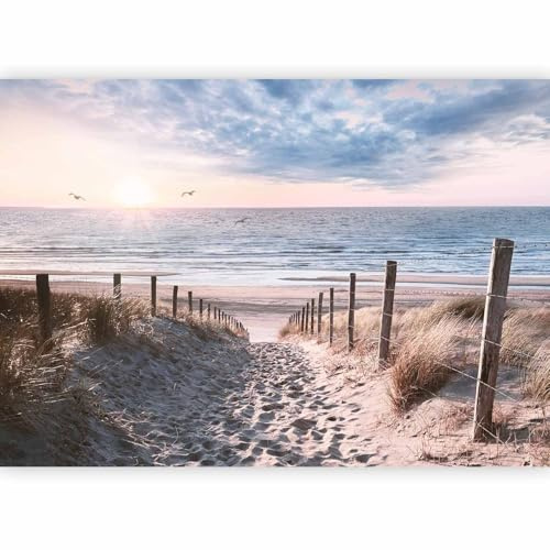 murando Papier peint intissé Plage Mer 400x280 cm Décoration Murale XXL Poster Tableaux Muraux Tapisserie Photo Paysage Oiseau Nature c-C-10032-a-a