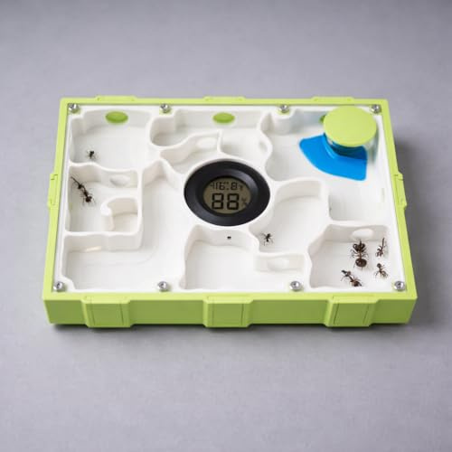 Ameisen Nest Formicarium als Ameisenfarm mit Hygrometer und Zubehör mit Acrylglas Abdeckung (Hellgrün)