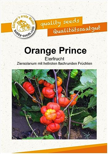 Gemüsesamen Orange Prince Aubergine Portion