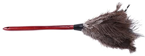 Summerwindy Nettoyeur de poussière Plumeau d'autruche Plumeau de meubles à lames de ventilateur Rouge 44 cm Plume d'autruche