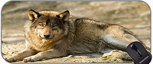 YENDOSTEEN Non-Slip Rubber Gaming Mouse Pad,Lying Down Stare predator Wolf Office Mouse Pad