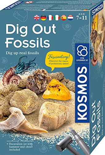 KOSMOS ‎616922 Fossilien Ausgrabungs-Set, Grabe echte Versteinerungen und Bernstein selbst aus, mit Hammer und Meißel, Experimentierset für Kinder ab 7 Jahre, mehrsprachige Anleitung