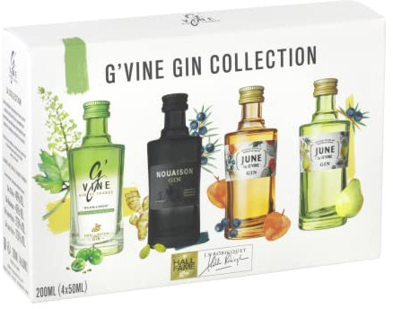 G'VINE Gin Collection (4 x 50ml) – Probierset mit 4 einzigartigen Gin-Sorten aus Frankreich – Gin Set ideal als Geschenk oder für Gin Tasting – 37,5, 40 & 45 % Vol.