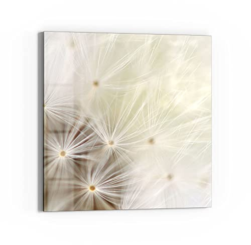 DEQORI Glasbild Echtglas | Motiv Pusteblume ganz nah | quadratisch einteilig 50x50 cm | schöne Dekoration | Wandbild für Wohnzimmer, Schlafzimmer, Flur & Küche | moderne Wanddeko