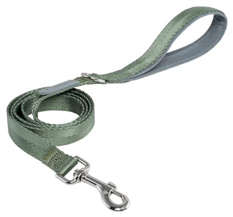 TSPRO Correa para Perros de Tamaños Grandes, Asa Cómoda, Hebilla Metálico Robusto, Duradera para Caminar, Correr y Entrenar (Tamaño 3 Verde)