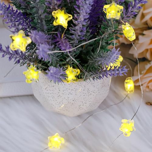 Koboko 2 Stück Stern Lichterkette, 1M 10LED Lichterkette Sterne mit Batterie, 2 Modi LED Lichterketten Innen Batteriebetrieben, Weihnachten Deko Lichter für Schlafzimmer,Hochzeit,Geburtstag (Gelb)