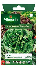 Vilmorin - Sachet graines Laitue Craquerelle du midi