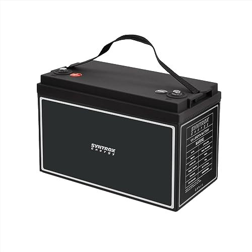 Syntrox Germany Lithium LiFePO4 Wohnmobil Batterie, für Camping, Wohnmobil Energieversorgung, Langlebige Batterie (100Ah)