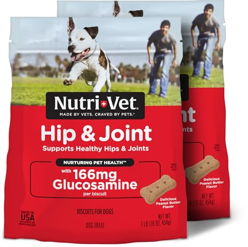 Nutri-Vet Hip & Joint Biscuits, Dog Joint Supplement, Dog Treat, Small Sized Biscuit with 166mg Glucosamine, Puppy Supplements, Tasty Glucosamine Treat, Puppy Essentials, 16 oz (Pack of 2)