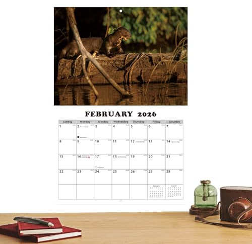 Calendario de pared 2026, ilustraciones temáticas de animales, calendario montado en la pared con 12 meses, para estudiantes, niños, adolescentes, adultos, profesores, amigos, aula, comedor