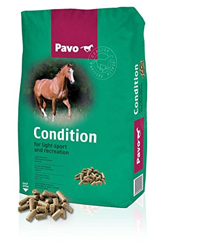 Pavo