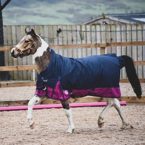 eQuitack Your Passion Is Our Mission 1200 Denier Pferdedecke Outdoor Winterdecken Weidedecke mit 200 G Fullung Highneck Navy/Raspberry 155cm