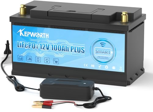 KEPWORTH Batería Litio 12V 100Ah, MAX. 15000 Ciclos con Bluetooth BMS 100A, Baterías de ciclo profundo, Batería LiFePO4 12V para Kayak, Camper, Solar, Barcos de Pesca de Róbalo, Autocaravanas (RV)