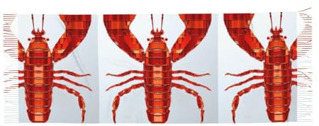 DEHIWI Red Shrimp Damen Kaschmir-Schal, warm, leicht, bequem, für Herbst und Winter, Schwarz , One size
