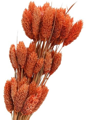 Sharplace Getrockneter Blumenstrauß, DIY Blumenstrauß, Blumenarrangement, Trockenblumen Dekor für Brautparty, Heimtischdekoration, Hochzeit, Orange