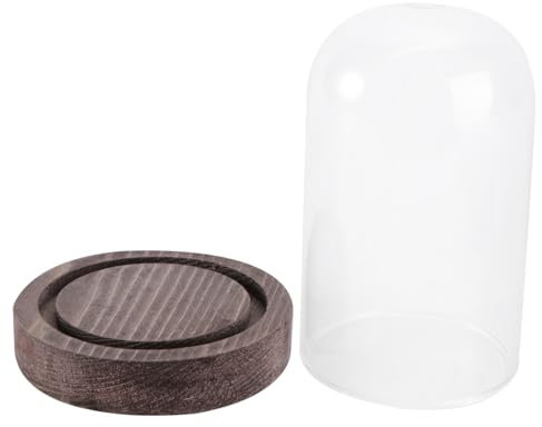 OFFSCH 1Stk Kuchendeckel tortendeckel the bell jar Holzsockel Dekorationsabdeckung Glasglocke Etagere mit Kuppel Kuchenständer Kuchenplatte mit Kuppel rundes Tablett Kuchenglasschirm