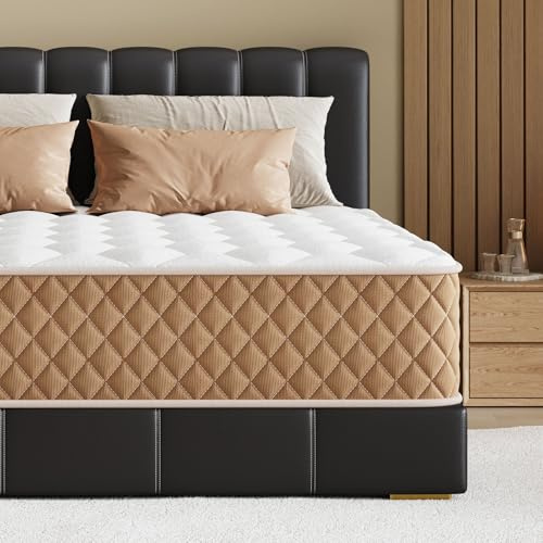 Niqooia Matratze160x200, 7-Zonen Federkernmatratze Höhe 25 cm Taschenfederkernmatratze Mittelfeste H3 Härtegrad Matratzen mit Schaumstoffmatratze für Ergonomische Rückenentlastung