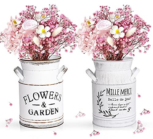 FORMIZON Vintage Blumenvase und Milchkanne - 2 Stücke Shabby Blumentopf im Landhausstil - Rustikale Deko Vase mit Herz für Garten, Tischdeko und Wohnzimmer