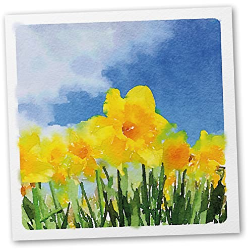 Easter Card. Watercolour Daffodils Design. 150x150mm Card with Matching Envelope. Ecofriendly. Embossed Board. Printed and Packed in UK.