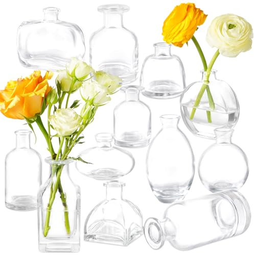 Bud Vases Set of 12, Clear Glass Bud Vase in Bulk, Small Vases for Centerpiece Mini Modern Flower Vase Transparent, Wedding Party Table Home Decor