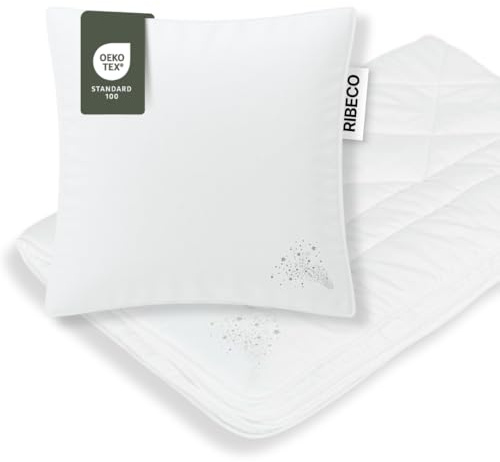 RIBECO GERMANY 4-Jahreszeiten Bettdecke Jan 135x200 cm & Kissen 80x80cm Set | ganzjährige Bettdecke mit kuscheliger Hohlfaser 6D-Füllung, hygienisch waschbar bei 60° & trocknergeeignet